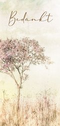 10 x 21 cm