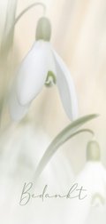 Card thumbnail