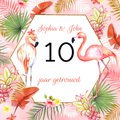 10 x 10 cm