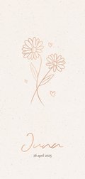 10 x 21 cm