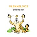 10 x 10 cm