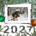 Card thumbnail