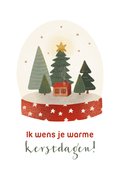 10 x 15 cm