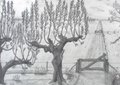 10 x 15 cm