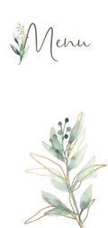 10 x 21 cm