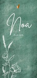 10 x 21 cm