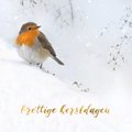 Card thumbnail