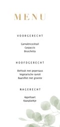 Achterkant