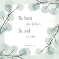10 x 10 cm