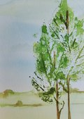 10 x 15 cm