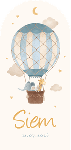 Hoge boogkaart luchtballon dieren vintage sterren geboorte