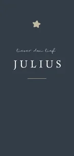 Donkerblauw minimalistisch geboortekaartje met bruine ster