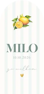 Fruitig geboortekaartje met citroenen en blauwe streepjes