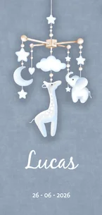 Geboorte jongen mobiel babyknuffels