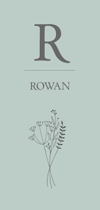 Geboortekaartje botanical illustratie letter jongen