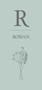 Geboortekaartje botanical illustratie letter jongen