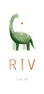 Geboortekaartje dinosaurus illustratie hartje koper jongen