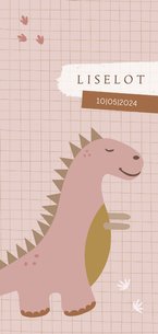 Geboortekaartje dinosaurus t-rex roze