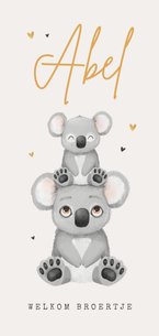 Geboortekaartje koala broertje zusje goud hartjes unisex