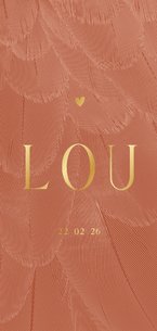 Geboortekaartje langwerpig stijlvol terra met veren