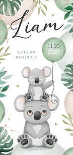 Geboortekaartje lief broertje zusje koala dieren ballonnen