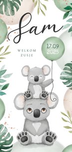 Geboortekaartje lief broertje zusje unisex koala dieren 