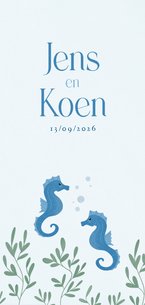 Geboortekaartje voor jongens met zeepaardjes blauw tweeling