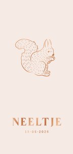 Lief beige geboortekaartje met eekhoorntje