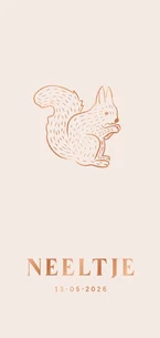 Lief beige geboortekaartje met eekhoorntje 