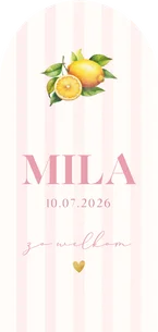 Zomers geboortekaartje meisje citroenen en roze streepjes