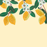 Communiekaart citroen met bloemen en naam Achterkant