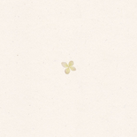 Geboortekaart gedroogde bloemen hortensia Achterkant