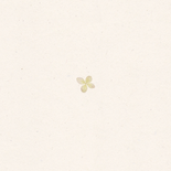 Geboortekaart gedroogde bloemen hortensia Achterkant