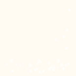 Geboortekaart kinderwagen met bloemetjes en blaadjes Achterkant