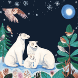 Geboortekaartje ijsberen familie maan en sneeuw Achterkant