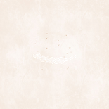 Geboortekaartje meisje droogbloem line art zand Achterkant