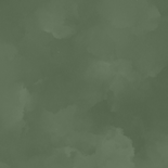 Geboortekaartje met geboortebloem december hulst goudfolie Achterkant