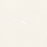 Geboortekaartje neutraal tijgers schattig hartjes koper Achterkant