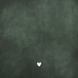 Geboortekaartje silhouet met grote broer bij wiegje broertje Achterkant