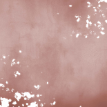 Geboortekaartje tweeling oudroze waterverf gouden spetters Achterkant