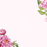 Jubileum huwelijk pioenrozen goud Achterkant