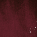 Jubileumkaart 12,5jaar getrouwd velvet rood goudfolie roos Achterkant