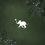 Jungle geboortekaartje jongen met gouden silhouet olifant Achterkant