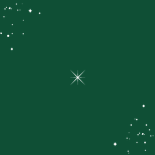 Kerstkaart fotokaart dikke kerstknuffel goud sterren Achterkant