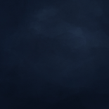  Lief donkerblauw winters geboortekaartje met hertje Achterkant