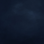  Lief donkerblauw winters geboortekaartje met hertje Achterkant