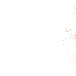 Lief geboortekaartje babydieren goudfolie spetters vlag Achterkant