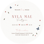 Lief geboortekaartje konijntje plantjes vlinder en hartjes Achterkant