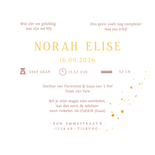 Lief geboortekaartje silhouet zus met zusje in hartjes vorm  Achterkant