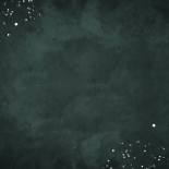 LP plaat uitnodigingskaart muziek feestje goud foto's Achterkant